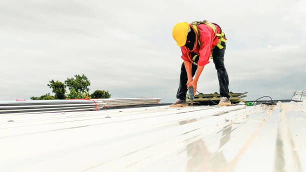 Best Cold Roofs  in Carrollton, TX