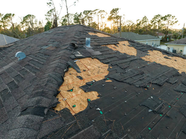 Best Chimney Flashing Repair  in Carrollton, TX