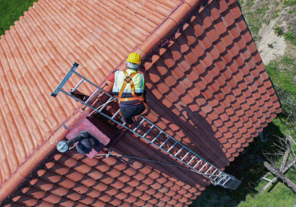 Best Roof Ventilation Installation  in Carrollton, TX